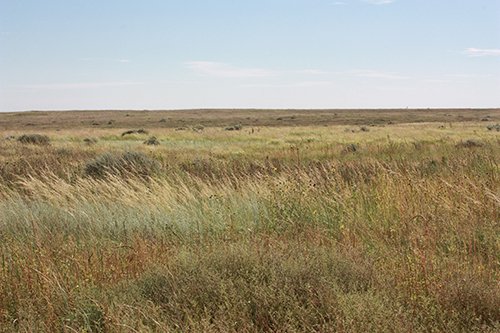 Property photo 46 - LAND AUCTION, 3255+/- Acres offered in 13 Tracts